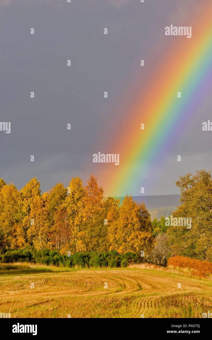 Giorni di autunno SUNSHINE su alberi autunnali e campo di stoppie con un arcobaleno Foto Stock