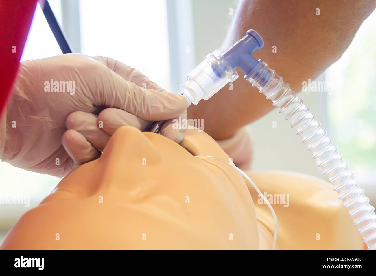 Intubazione endotracheale su una pratica medica marionetta Foto Stock
