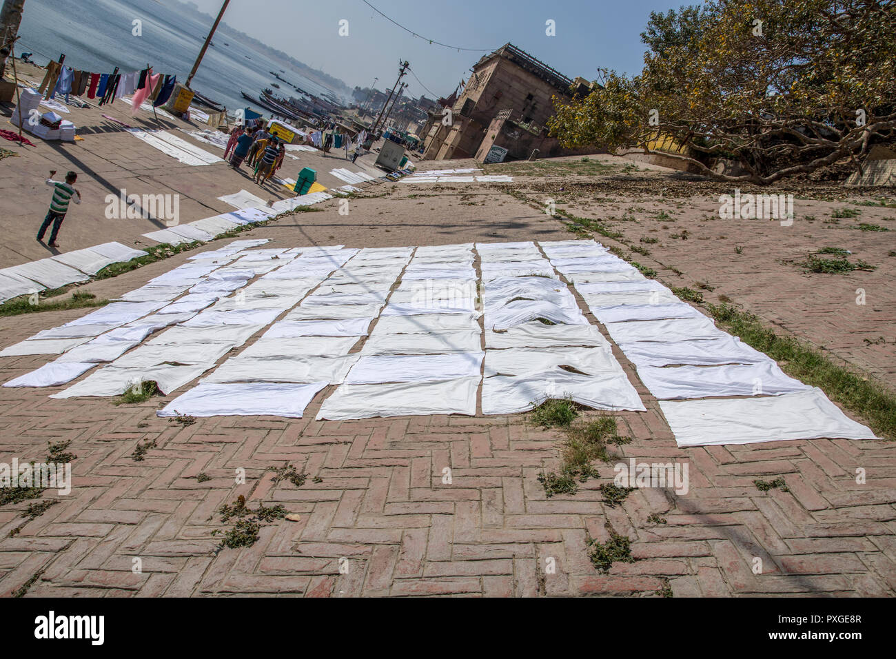 Servizio lavanderia giorno sul fiume Gange, Varanasi, Uttar Pradesh, India. Vestiti e biancheria sono lavati nel fiume e la diffusione a secco sulla sua riva Foto Stock
