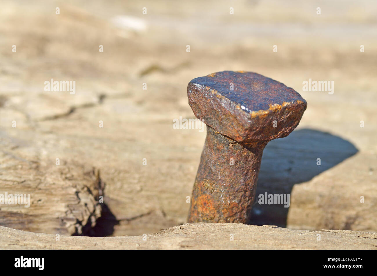 In un registro il chiodo è martellato.Tutto è arrugginita dal vecchio giorni. Foto Stock
