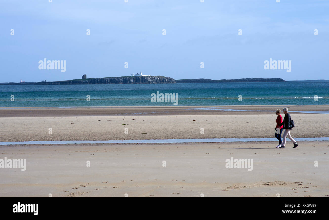 Farne isole al largo della costa di Northumberland vicino a Seahouses Foto Stock