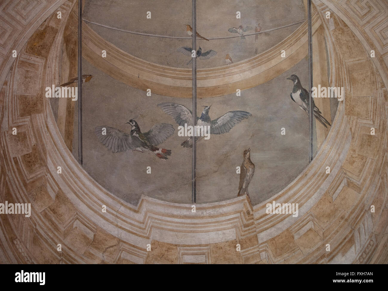 Dettaglio di un soffitto rinascimentale affresco nel padiglione del giardino di Villa Lante. L affresco mostra il realismo gli uccelli contro una falsa prospettiva-dome. Foto Stock