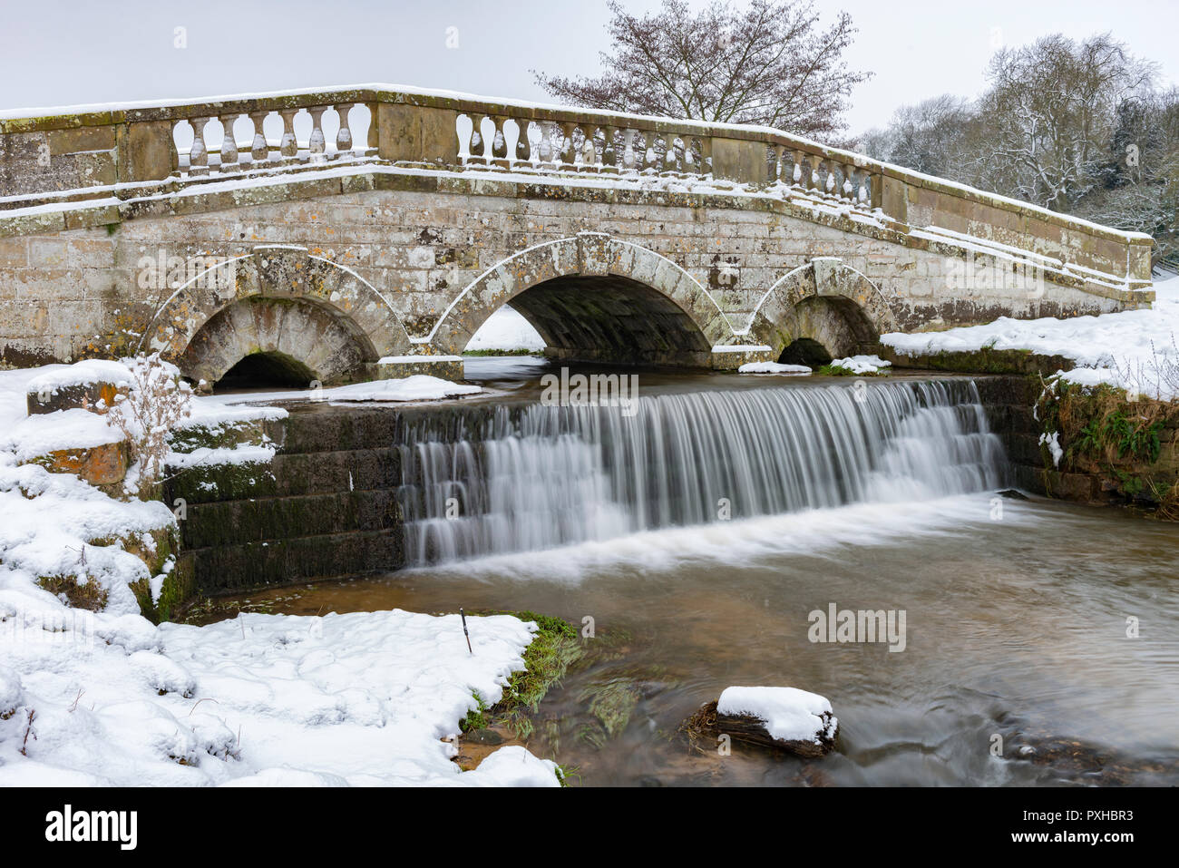 Inverno a Hovingham Park Foto Stock
