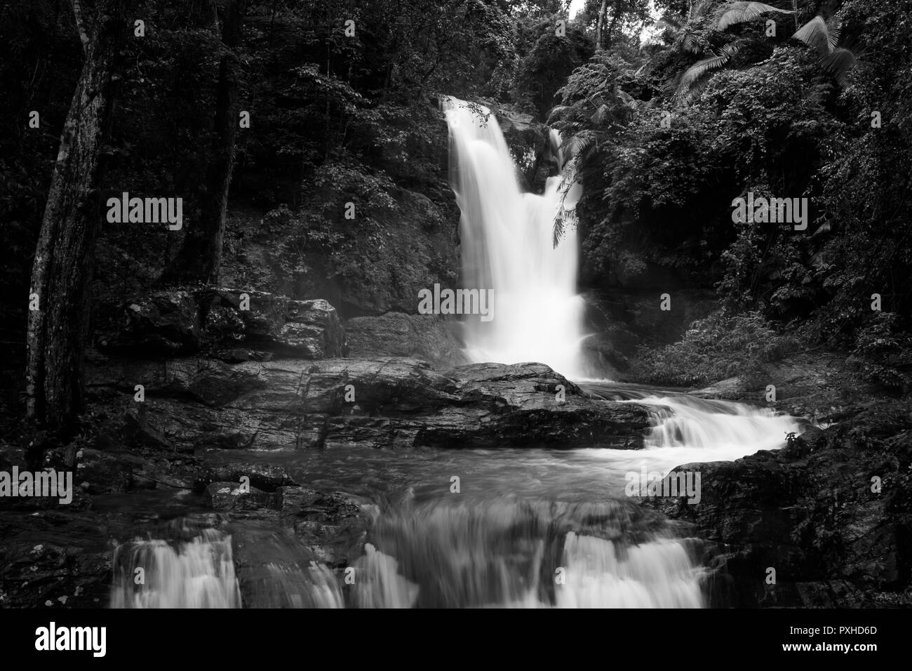 Il Kerala ecoturismo Foto Stock