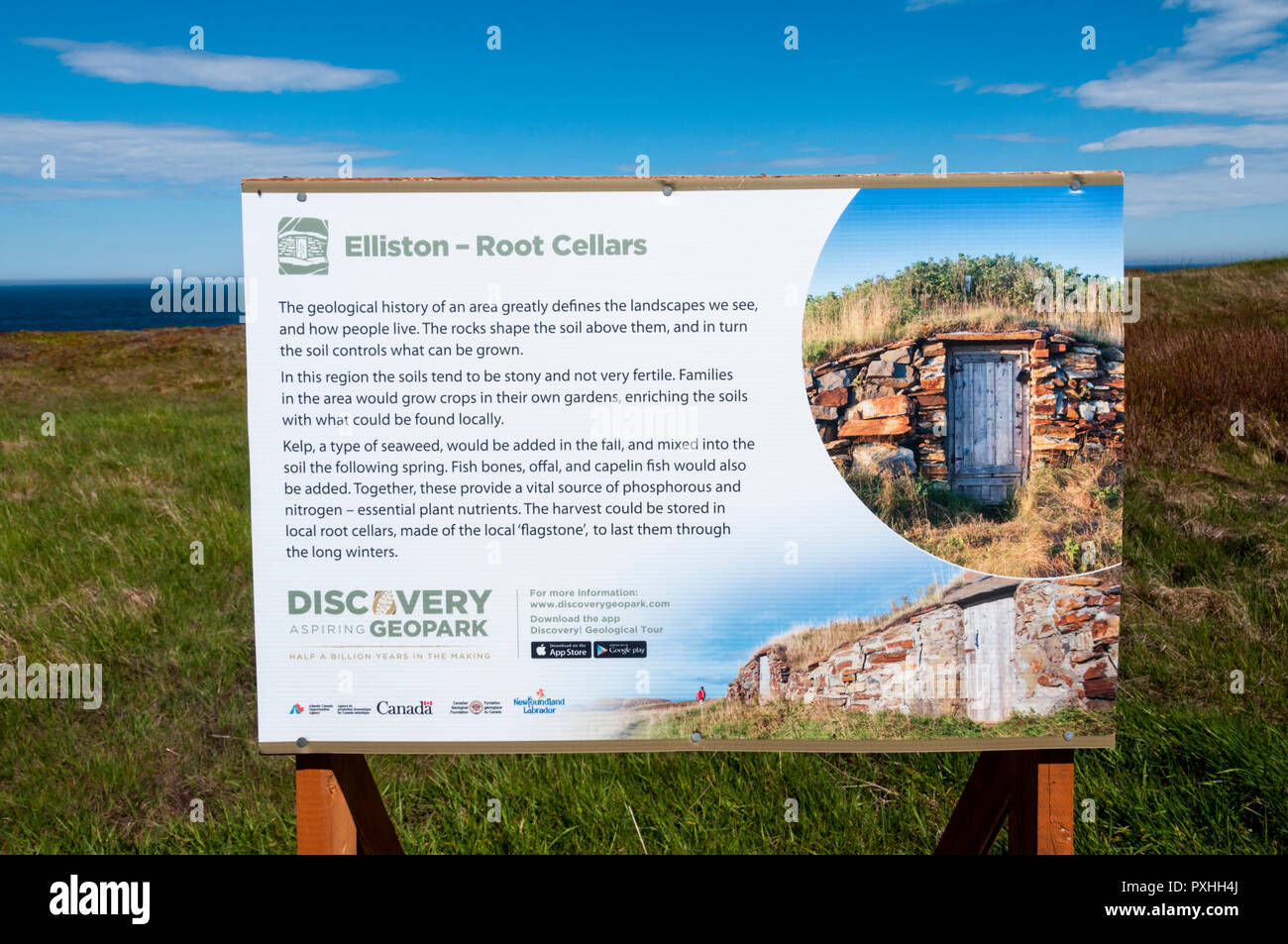Segno interpretative sulla radice Elliston cantine, Terranova. Foto Stock