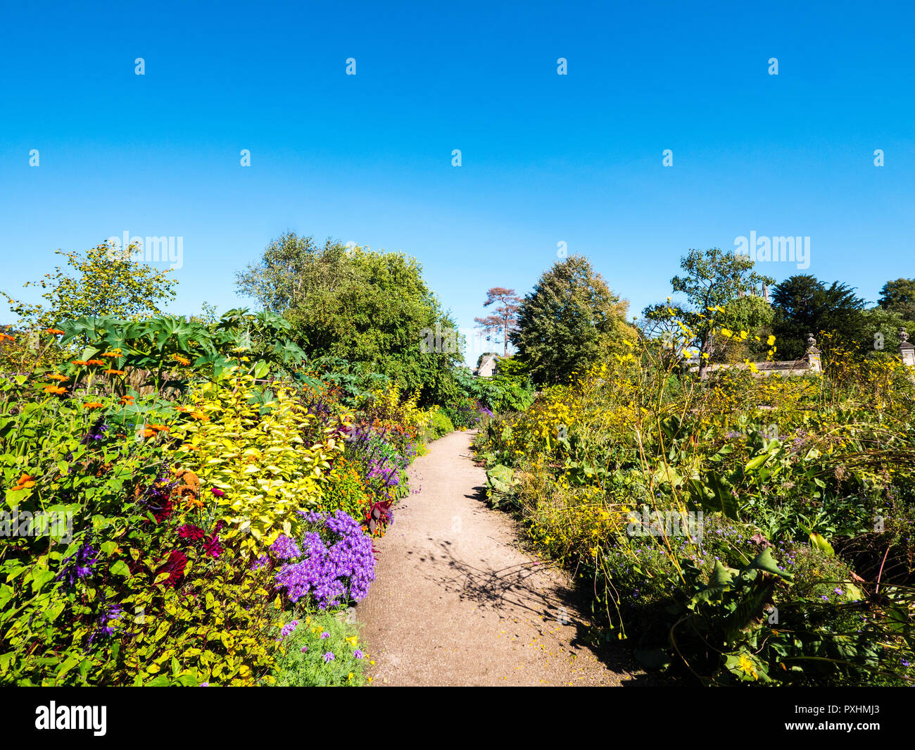 University of Oxford Botanic Garden, Oxford, Oxfordshire, England, Regno Unito, GB. Foto Stock