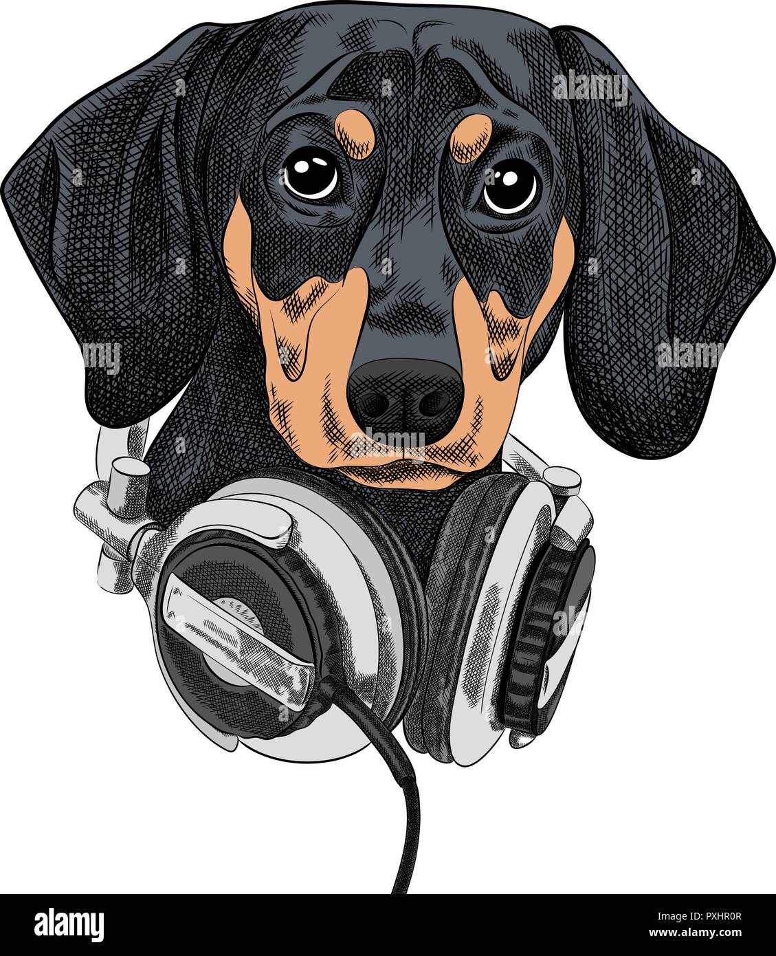 Illustrazione Vettoriale di razza del cane bassotto la musica in cuffia. Illustrazione Vettoriale