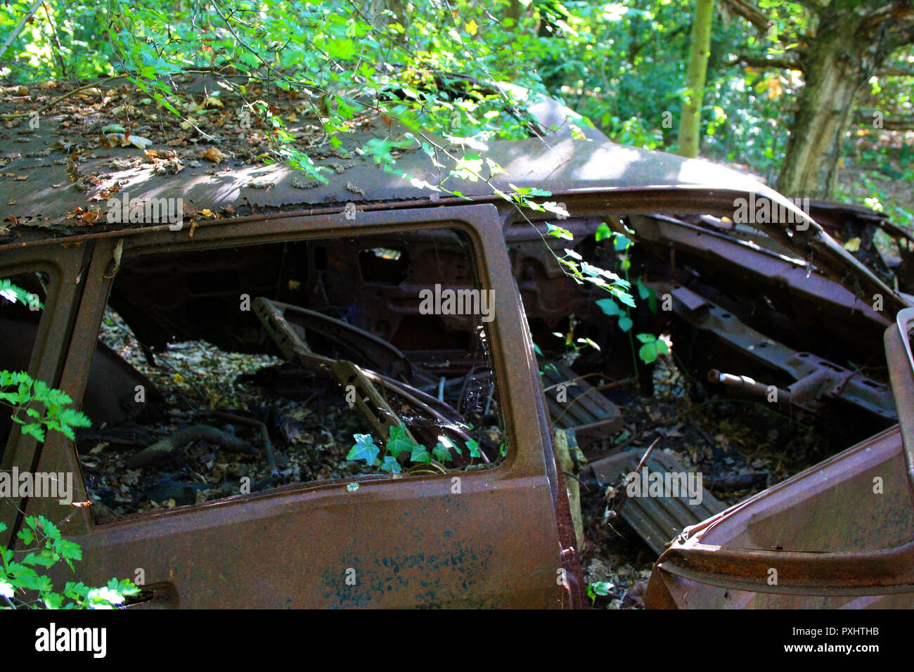 Un arrugginito auto abbandonate nei boschi, Essex, Inghilterra Foto Stock