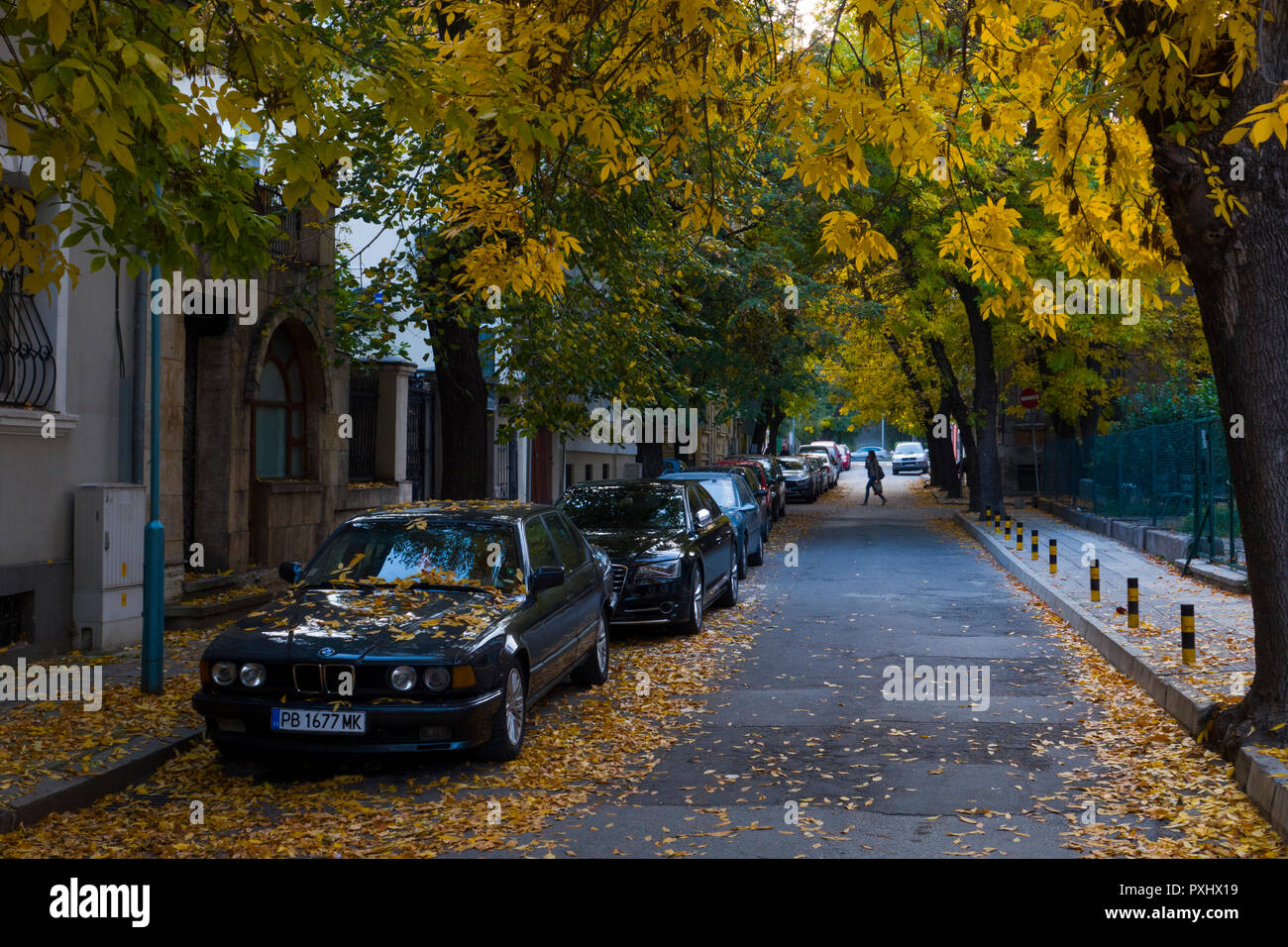 In autunno le foglie che cadono in viali alberati di Plovdiv, Bulgaria Foto Stock