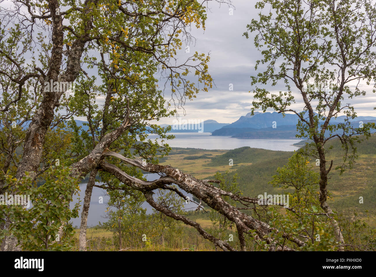Vista Sull'Isola Di Senja, Norvegia Foto Stock