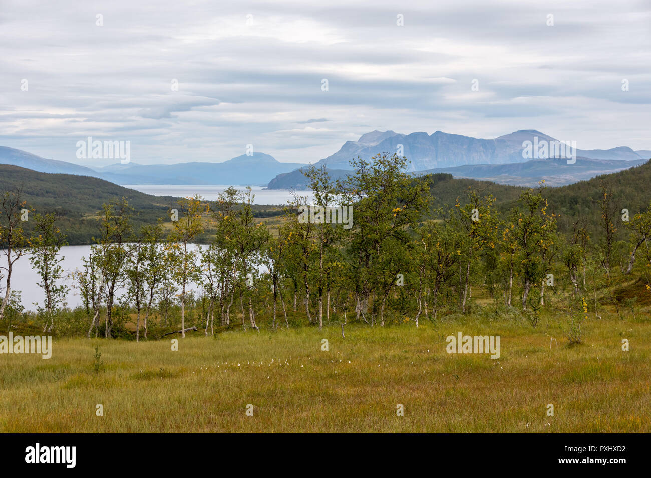 Vista Sull'Isola Di Senja, Norvegia Foto Stock