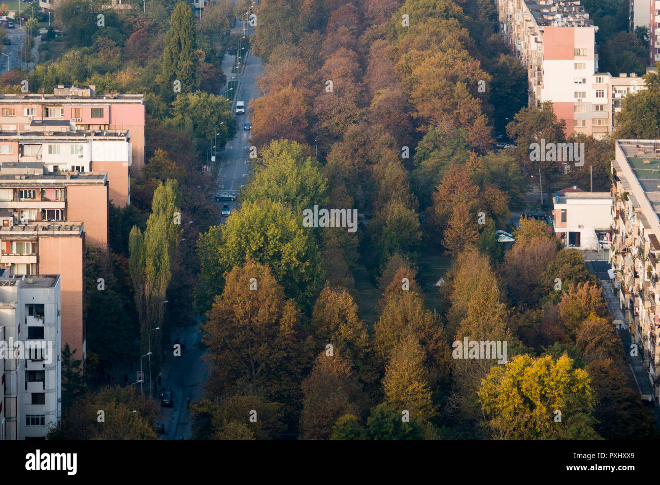 Angolo di alta vista di autunno alberi e appartamenti a Plovdiv, Bulgaria Foto Stock