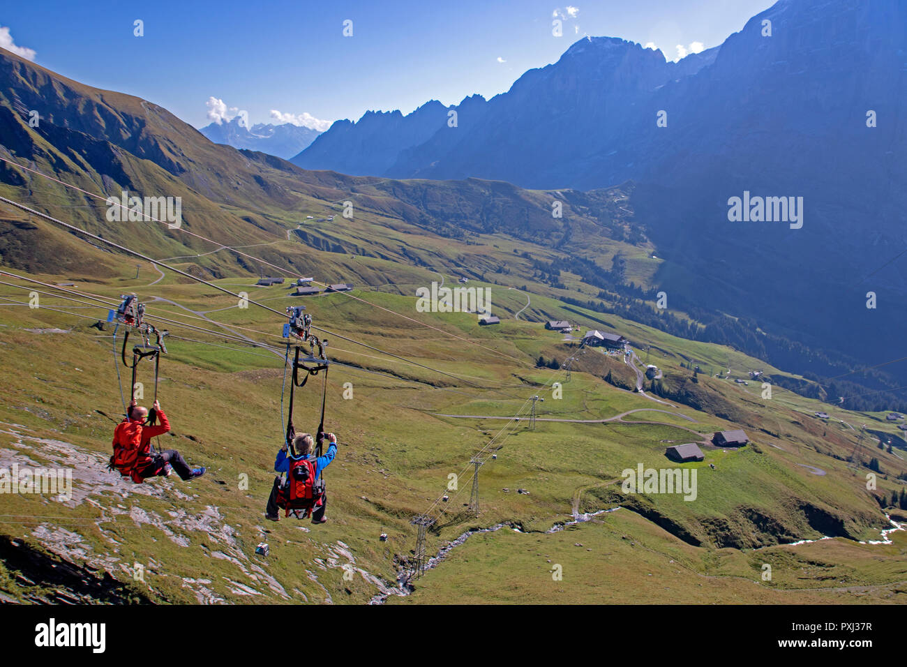 Il primo Flyer zipline sopra Grindelwald Foto Stock