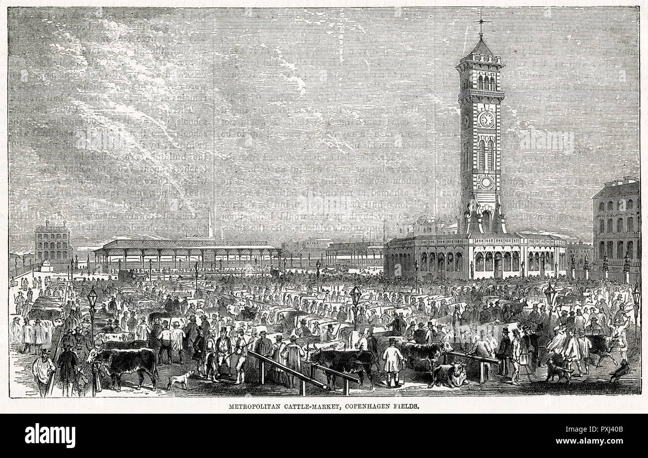 Metropolitan Cattle Market, Copenhagen Fields, Londra 1868 Foto Stock