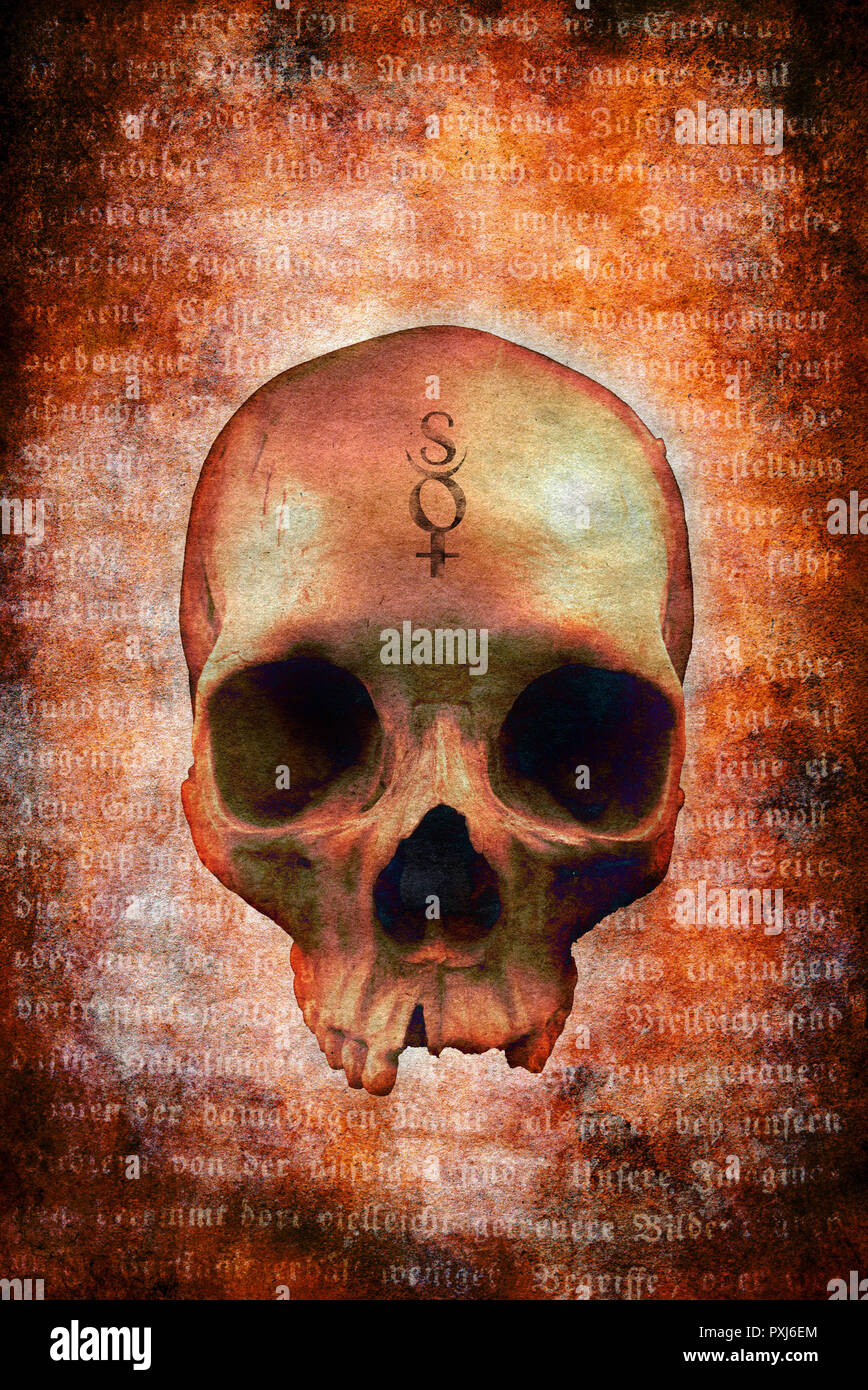 Cranio umano con simboli esoterici Foto Stock