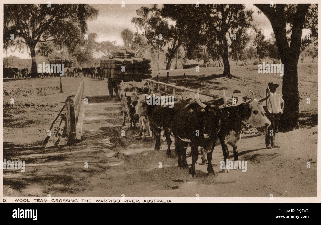 Australia - squadra di lana che attraversa il fiume Warrigo Foto Stock
