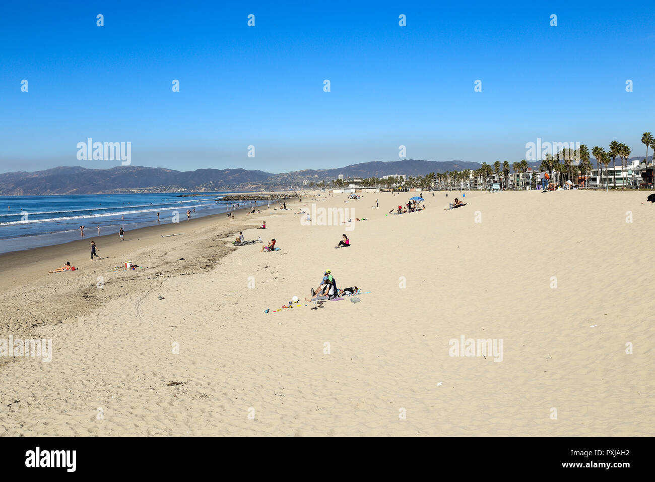 Un tipico Southern California giornata soleggiata a Venice Beach in California Foto Stock