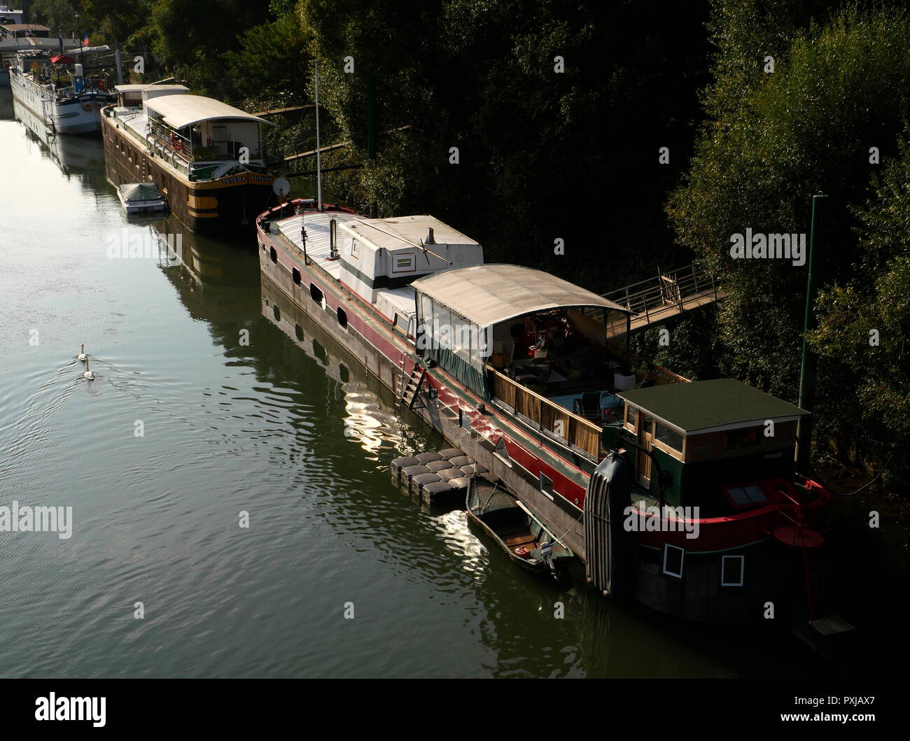 AJAXNETPHOTO. PORT MARLY, Francia. - Il fiume Senna houseboats - IL XXI SECOLO SCENA DI PENICHE HOUSEBOATS ormeggiato sulle rive del fiume Senna. La posizione era reso famoso in dipinti di pittori impressionisti Alfred Sisley, Camille Pissarro e altri nel tardo XIX secolo. Foto:JONATHAN EASTLAND REF:GX8 181909 360 Foto Stock