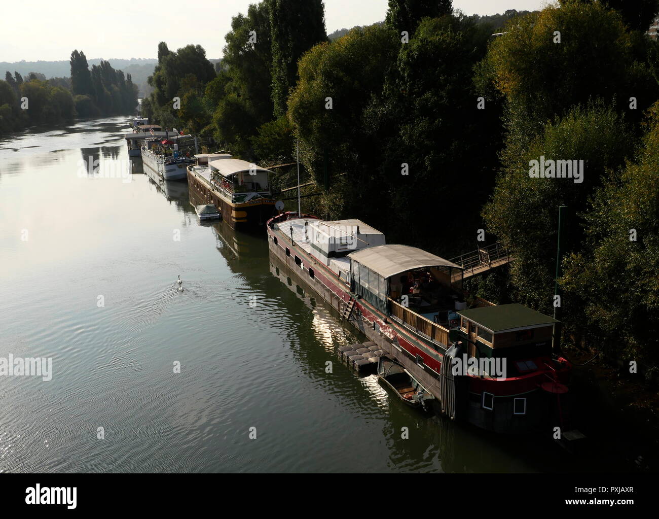 AJAXNETPHOTO. PORT MARLY, Francia. - Il fiume Senna houseboats - IL XXI SECOLO SCENA DI PENICHE HOUSEBOATS ormeggiato sulle rive del fiume Senna. La posizione era reso famoso in dipinti di pittori impressionisti Alfred Sisley, Camille Pissarro e altri nel tardo XIX secolo. Foto:JONATHAN EASTLAND REF:GX8 181909 361 Foto Stock
