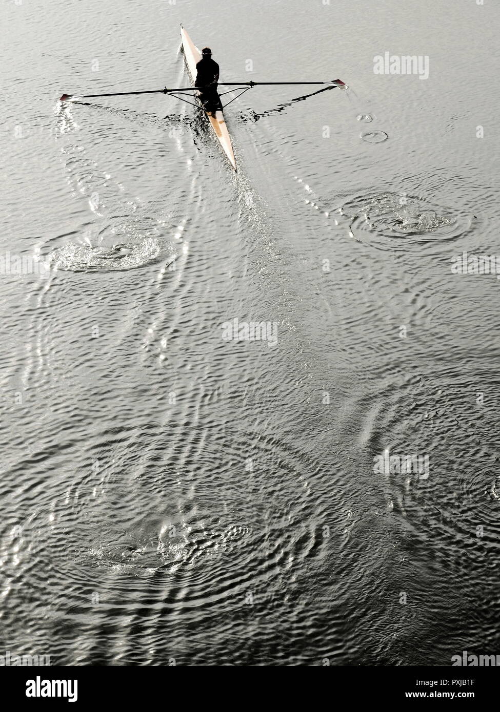 AJAXNETPHOTO. PORT MARLY, Francia. - LONESOME ROWER - un solo vogatore SCULL FA IL SUO MODO più a monte verso Parigi. Foto:JONATHAN EASTLAND/AJAX REF: GX8 181909 373 Foto Stock