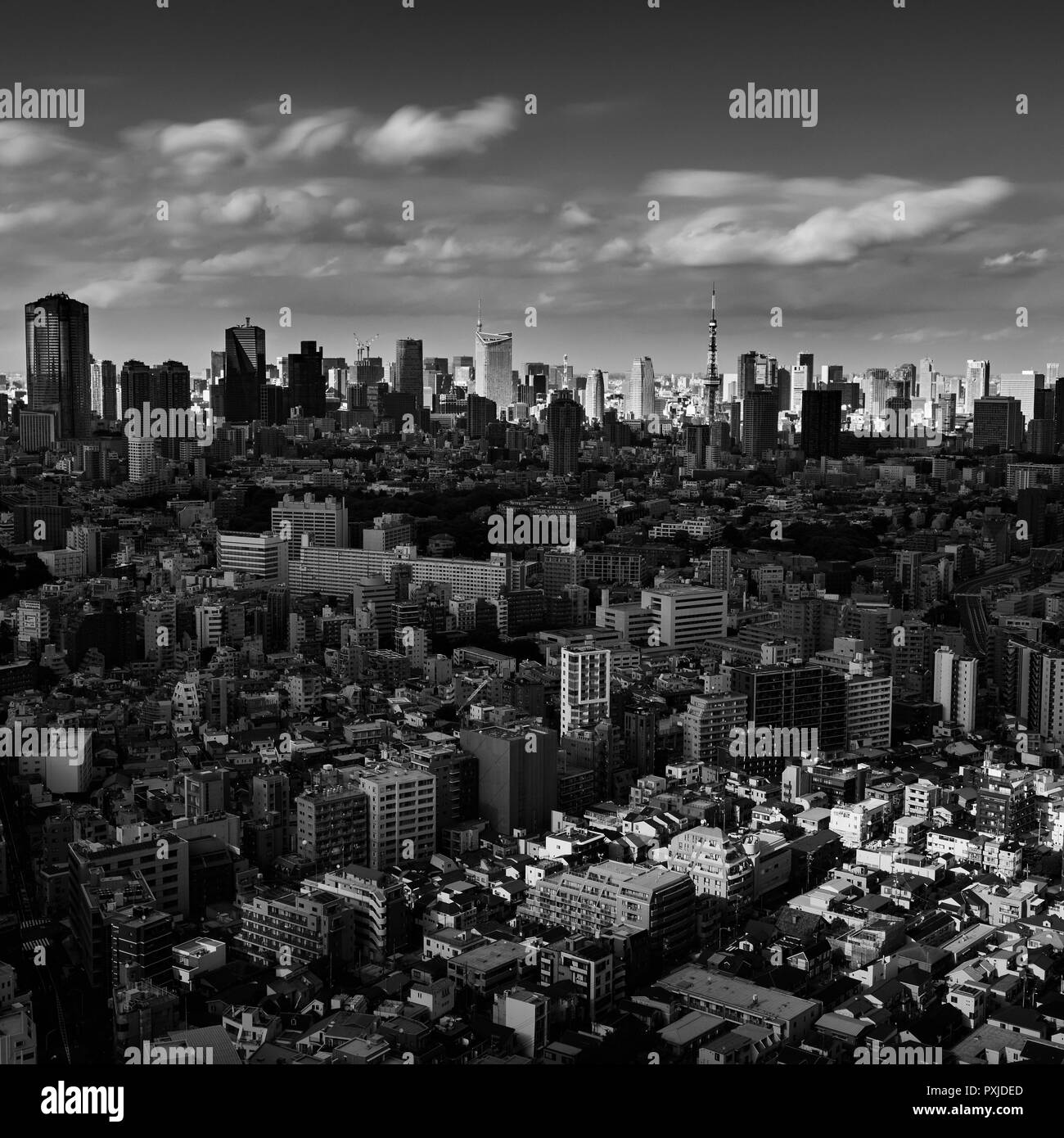 Drammatica vista della Tokyo cityscape, Tokyo, Giappone Foto Stock
