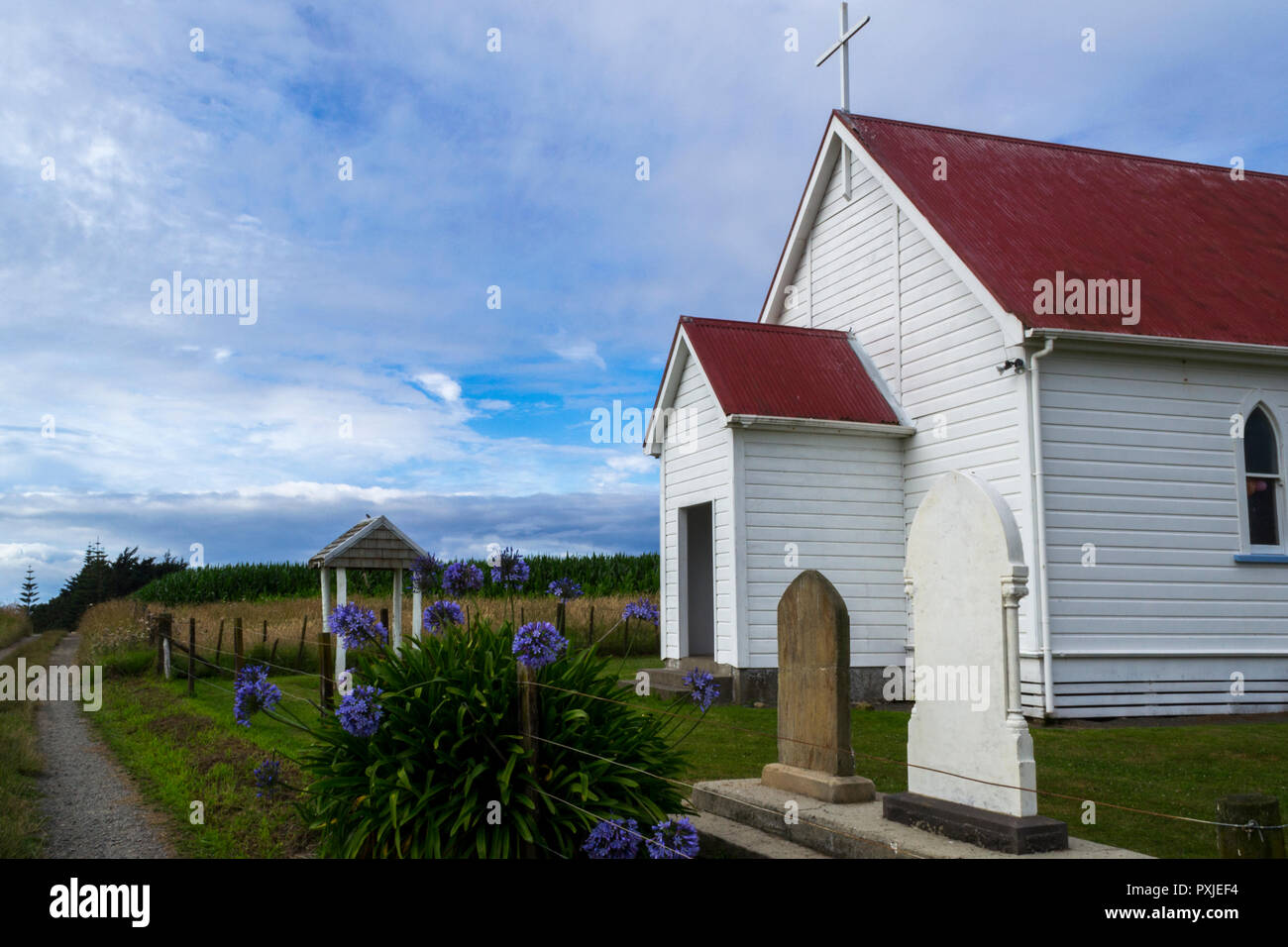 Isola del nord, Nuova Zelanda. Chiesa rurale Foto Stock