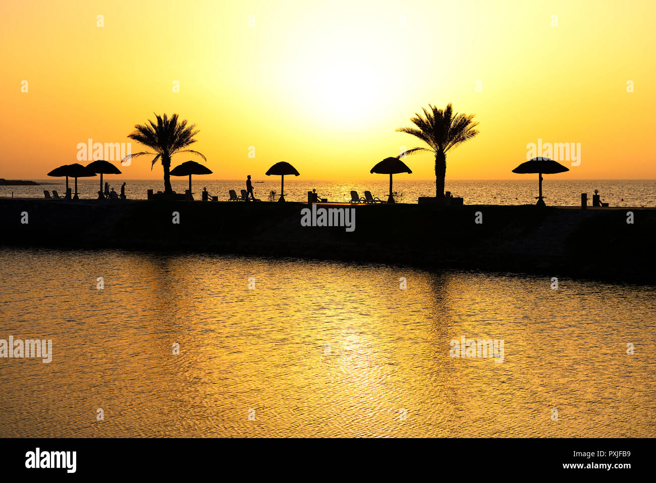 Tramonto con acqua dalla riflessione di palme e ombrelloni, Hotel Cove Rotana, Ras al Khaimah Emirati Arabi Uniti Foto Stock