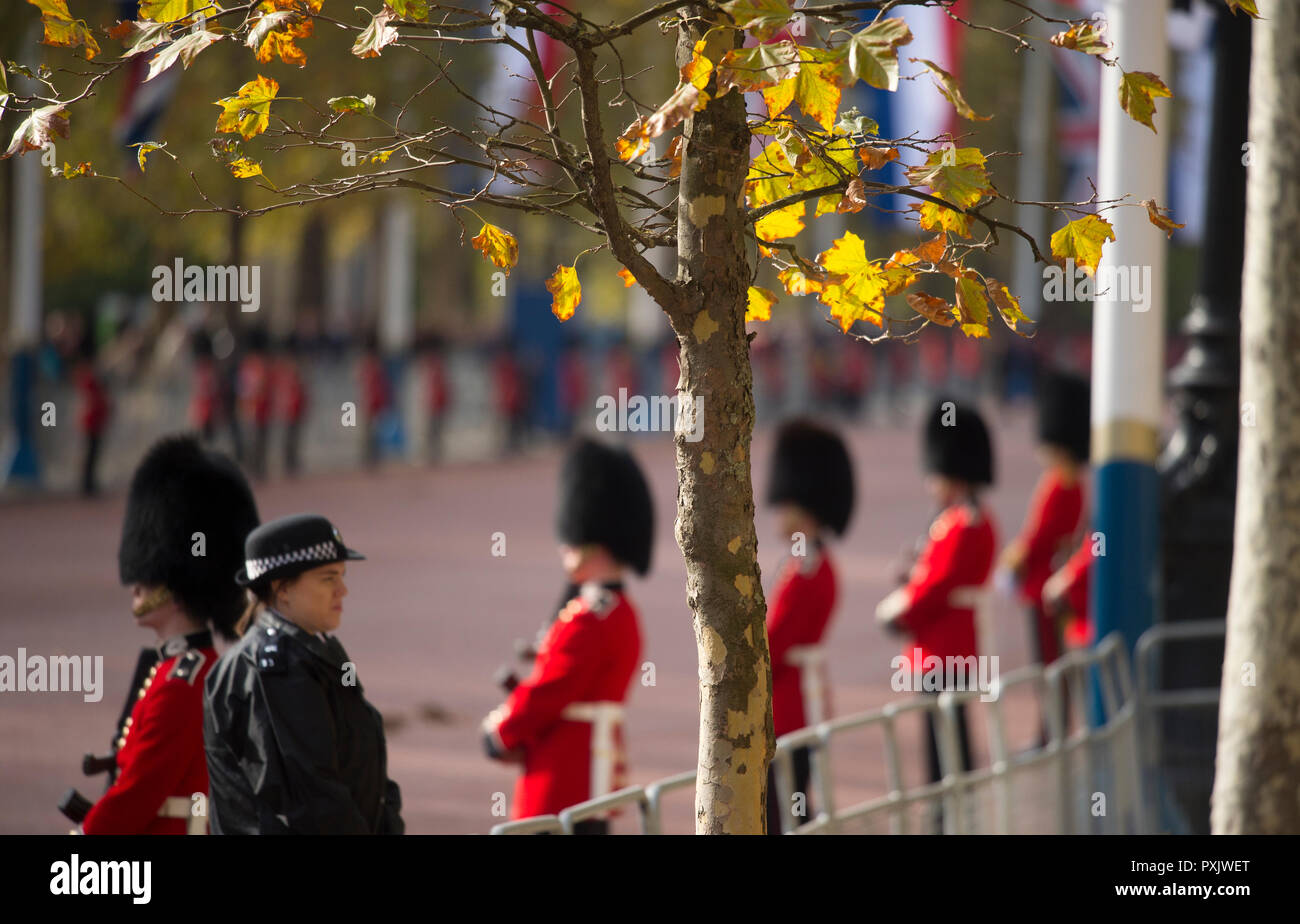Il centro commerciale di Londra, Regno Unito. 23 ottobre, 2018. Il re e la Regina dei Paesi Bassi, accompagnato da della Regina e del principe Charles, sono scortati al Buckingham Palace dal sovrano di scorta, con due standard, fornito dalla famiglia di cavalleria reggimento montato in autunno sunshine. Credito: Malcolm Park/Alamy Live News. Foto Stock
