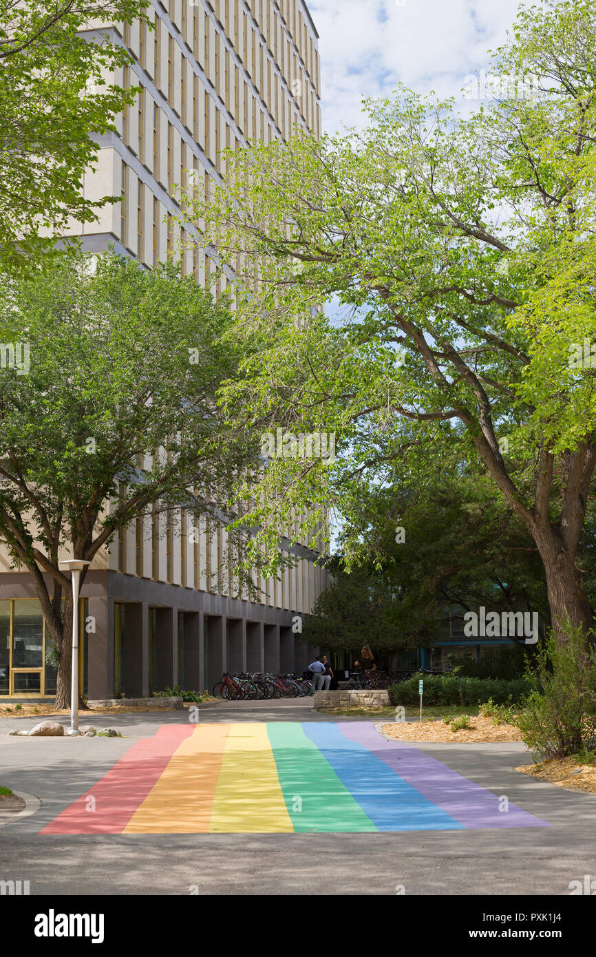 Università di Saskatchewan campus con bandiera arcobaleno dipinto su crosswalk all'ingresso del Arts Building Foto Stock