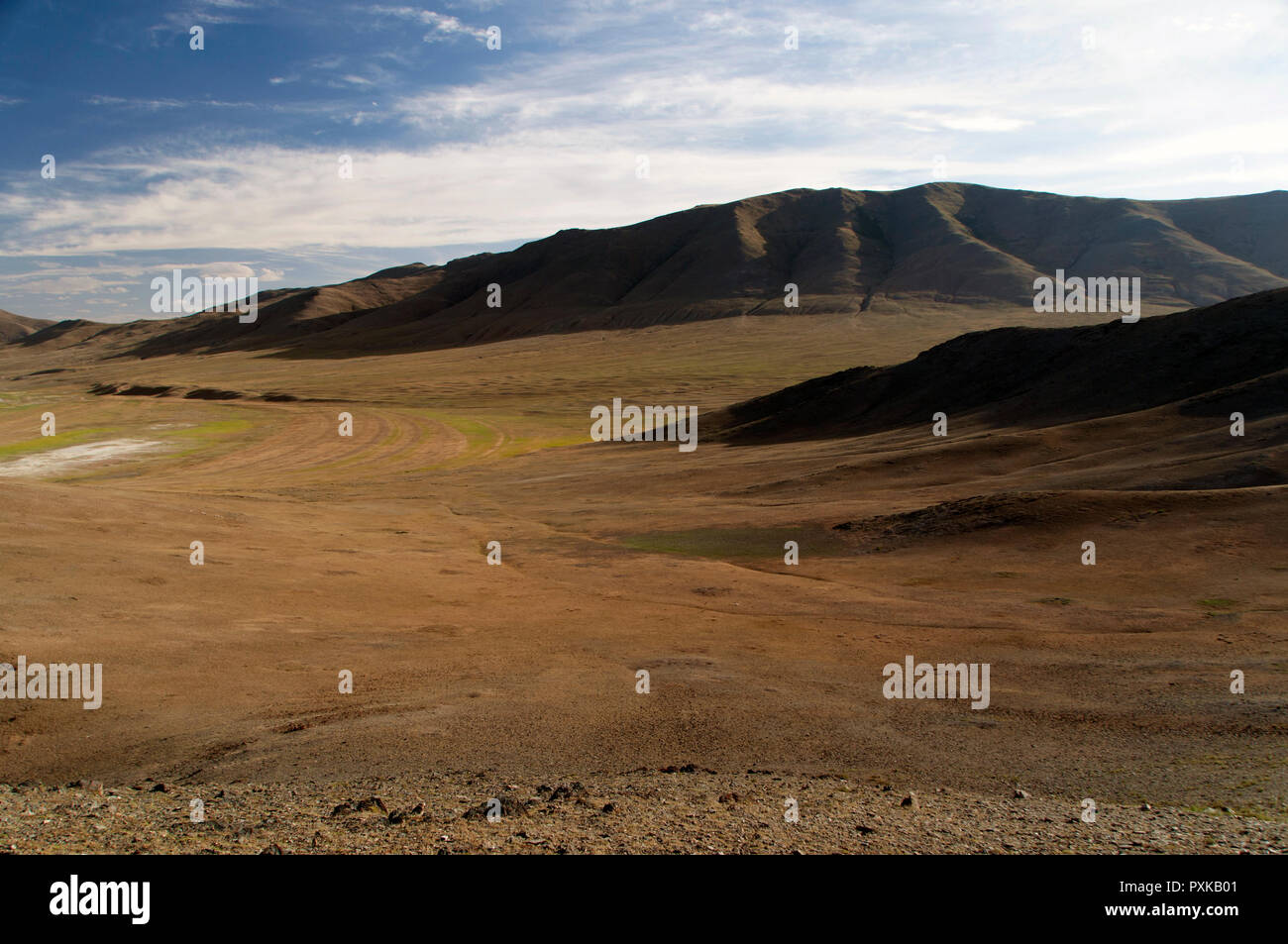 Le coste del lago secco, Galuut somma, Aimag Bayankhongor, Mongolia Foto Stock