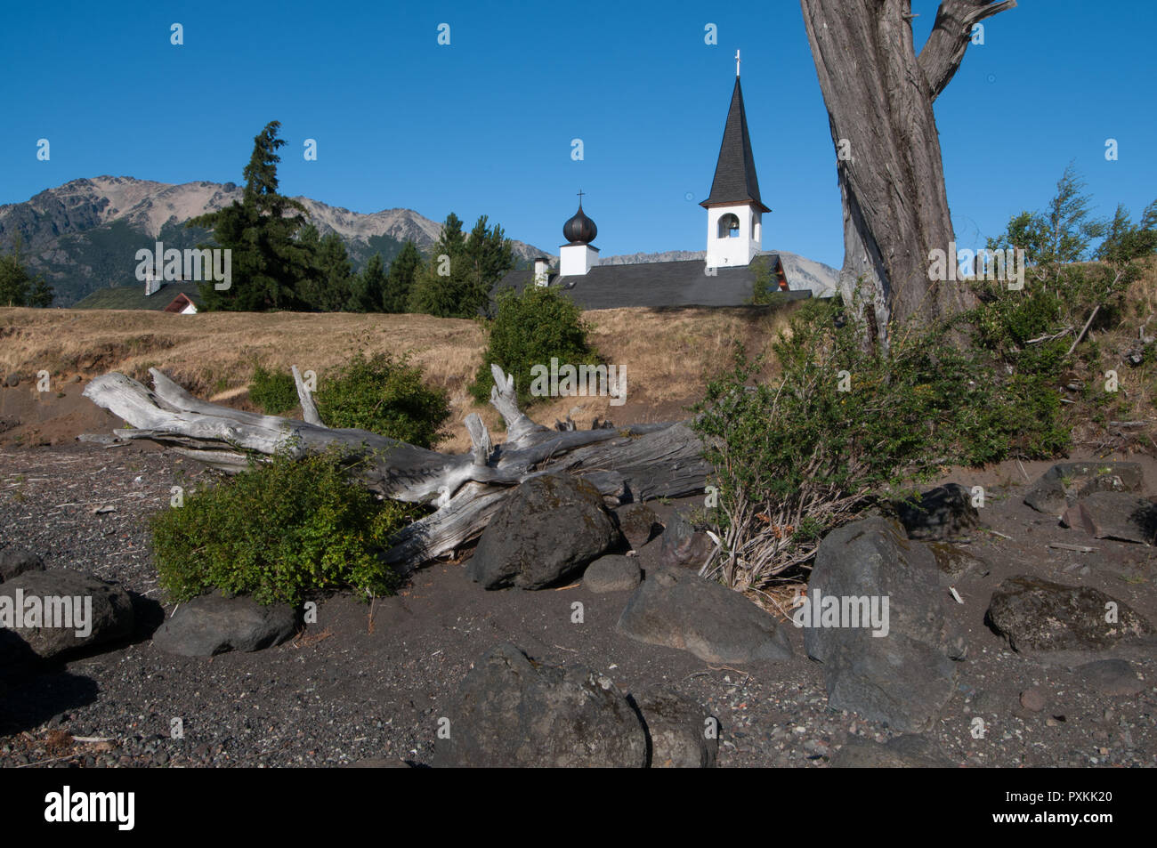 Nel parco area Lanin Junin de los Andes Foto Stock