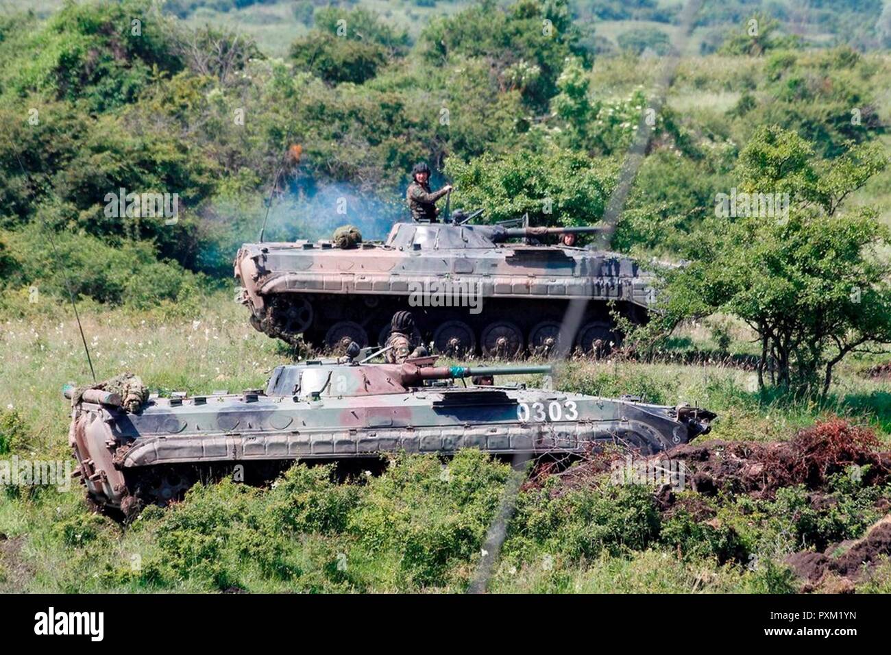 11 giugno 2017 soldati polacchi dal decimo battaglione meccanizzato 'Dragons' e il polacco BWP-1 di combattimento della fanteria treno veicoli durante l'esercizio nobile salto in Romania. Intorno al 4000 truppe provenienti da nove paesi della NATO stanno partecipando in un esercizio che è stato progettato per testare la schierabilità delle NATO molto alta disponibilità Joint Task Force o VJTF. Foto Stock