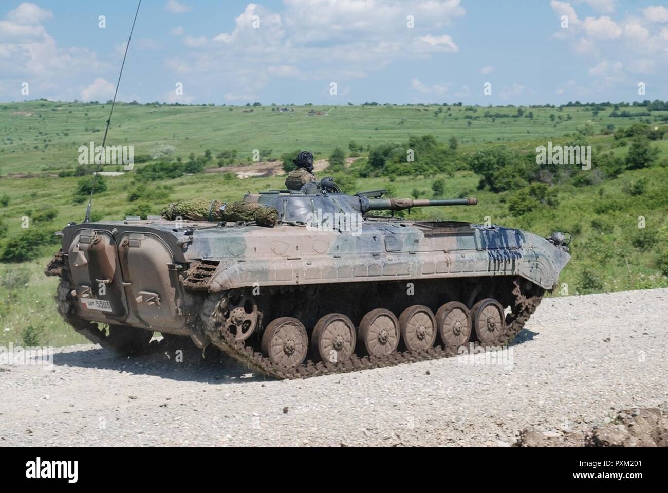 11 giugno 2017 soldati polacchi dal decimo battaglione meccanizzato 'Dragons' e il polacco BWP-1 di combattimento della fanteria treno veicoli durante l'esercizio nobile salto in Romania. Intorno al 4000 truppe provenienti da nove paesi della NATO stanno partecipando in un esercizio che è stato progettato per testare la schierabilità delle NATO molto alta disponibilità Joint Task Force o VJTF. Foto Stock