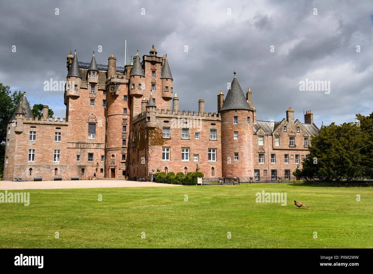 Prato anteriore di Glamis Castle casa d'infanzia di regina madre selvaggio con anello di collo di fagiano con sole e nuvole Scotland Regno Unito Foto Stock