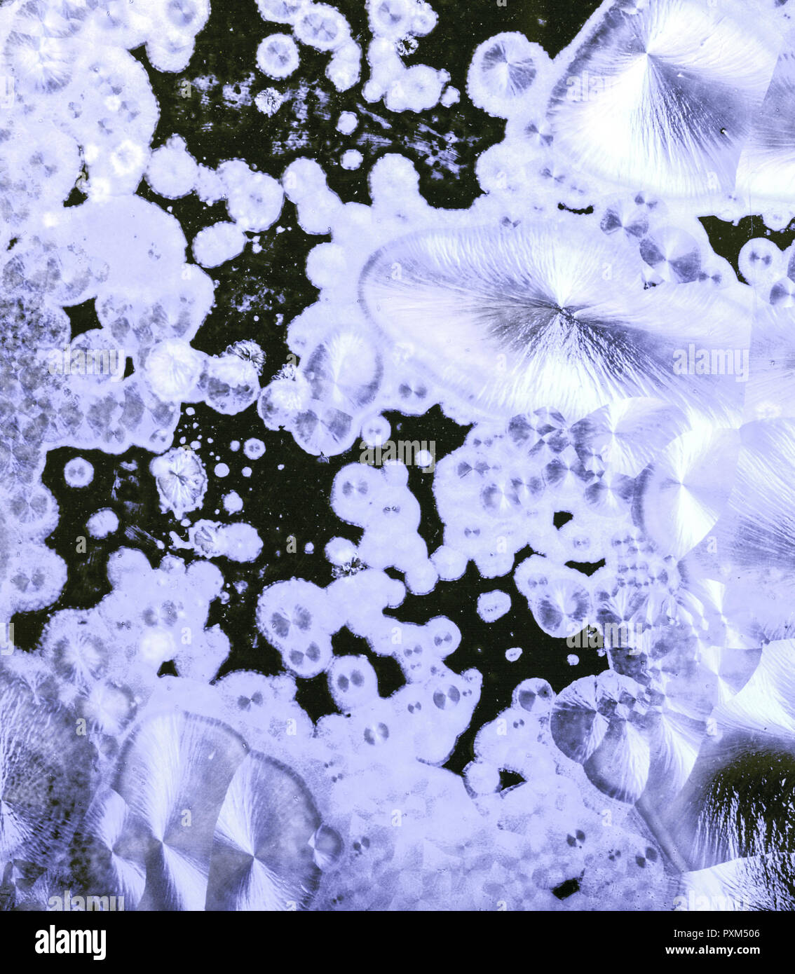 Schoene Eisblumen, Eiskristalle un einer Fensterscheibe, simbolo Foto Stock