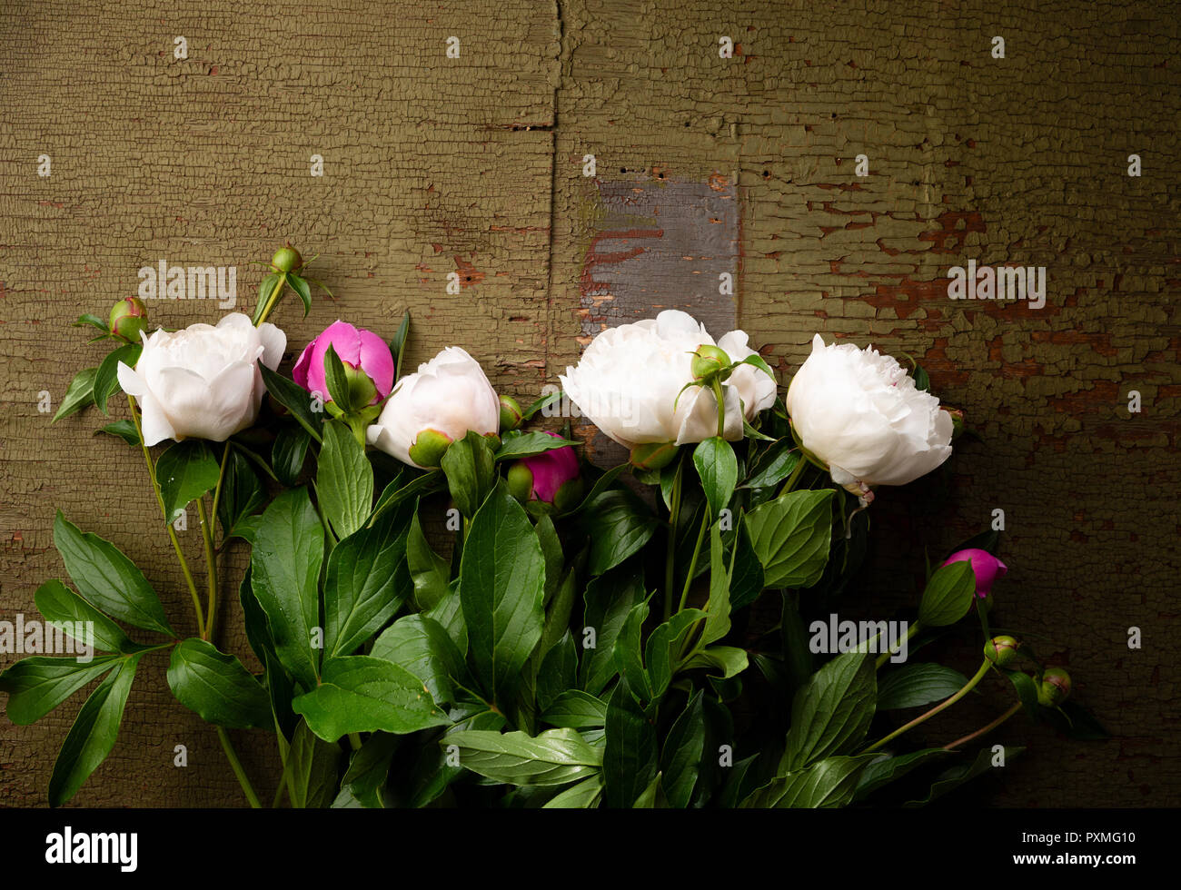 Bianco e fiori di colore rosa vista superiore Foto Stock