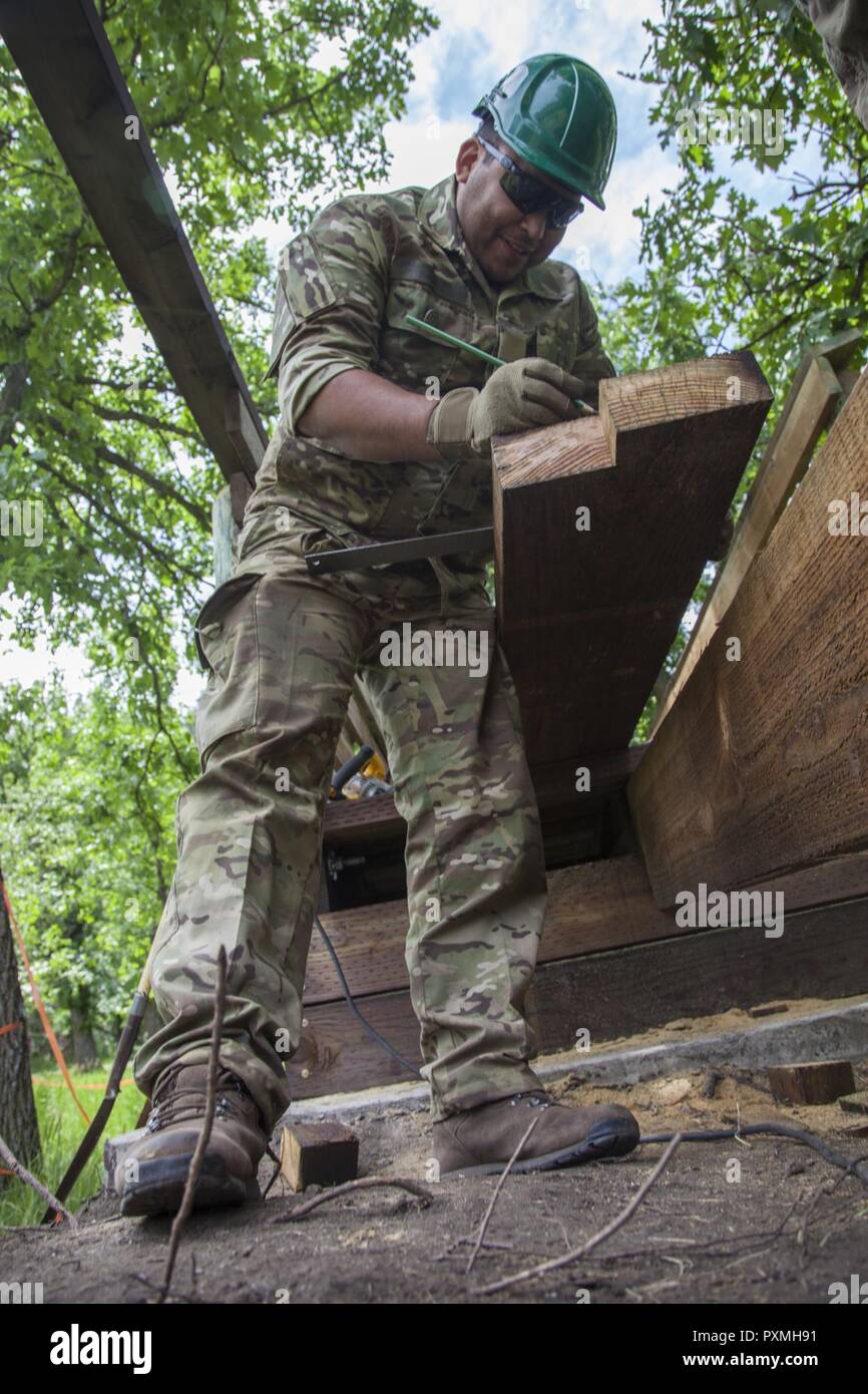 Soldato danese lancia Cpl. Al Frederiksen, 3° Battaglione di costruzione, armata danese, scala di un pezzo di legno per un ponte pedonale durante il Golden Coyote esercizio, Custer State Park, Custer, S.D., 16 giugno 2017. Il Golden Coyote è un esercizio a tre-fase, scenario di esercizio di condotta condotta in Black Hills del Sud Dakota e Wyoming, quali comandanti permette di concentrarsi sulla missione requisiti essenziali per lo svolgimento delle attività e le attività del guerriero e punte di battaglia. Foto Stock