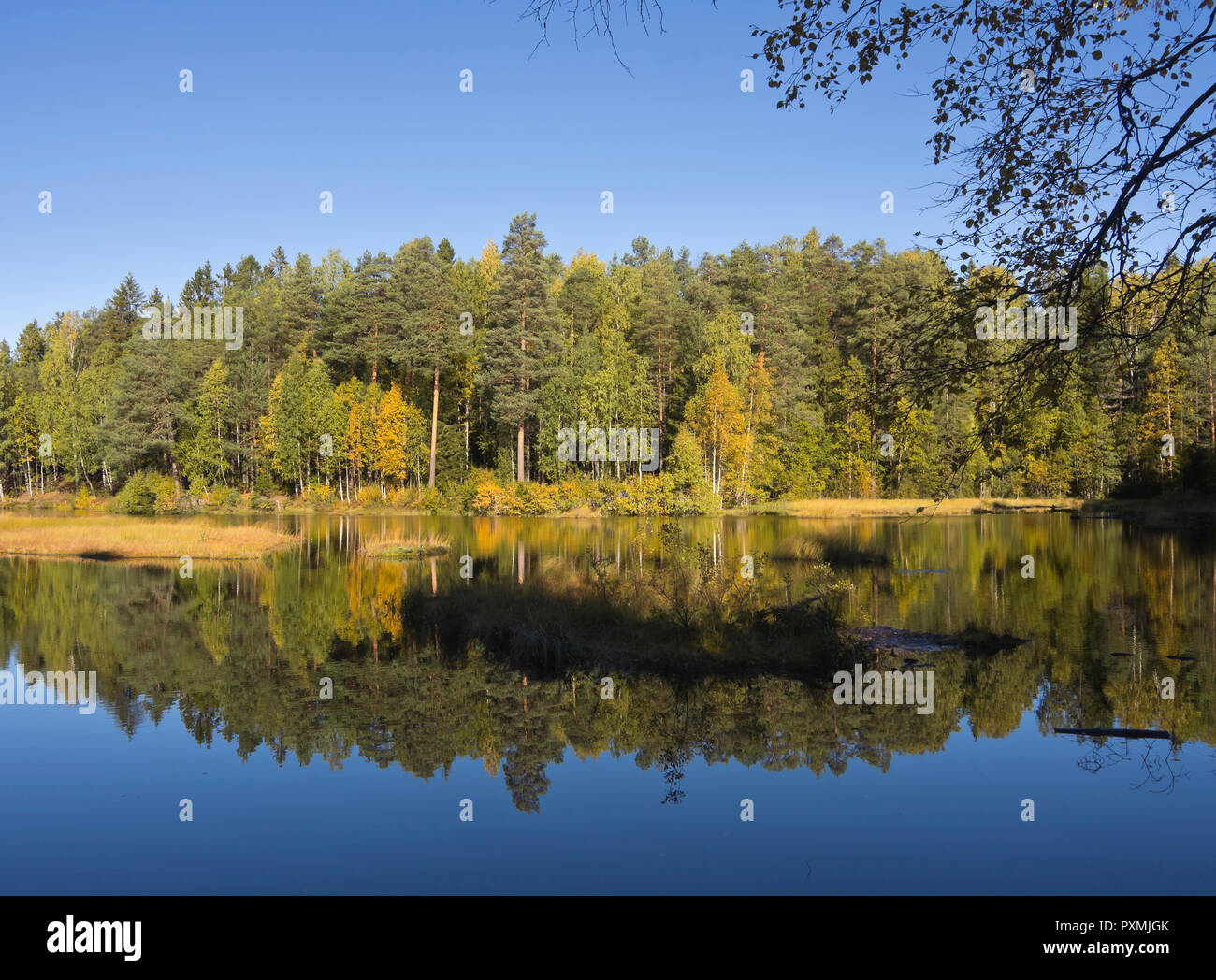 Foreste attorno alla capitale norvegese Oslo hanno incontaminata e vari scenari per tutto l'anno godimento, piccolo lago nel Nordmarka in Autunno colori Foto Stock