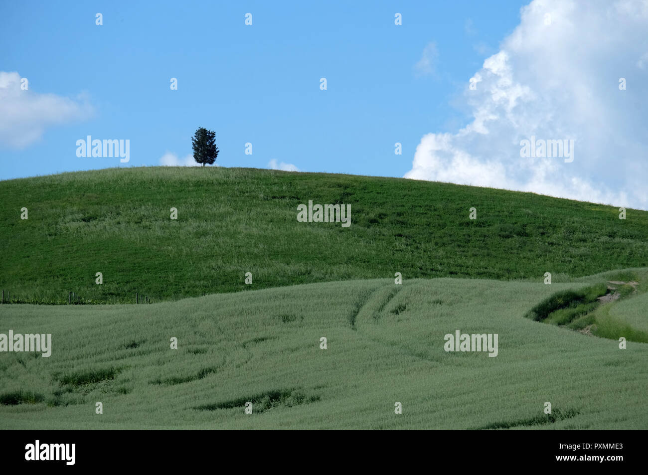 VAL'D'ORCIA . Toscana Foto Stock