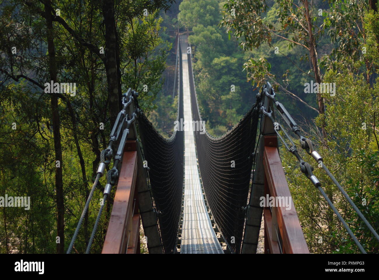 Ponte di sospensione in Tahune, Tasmania Foto Stock