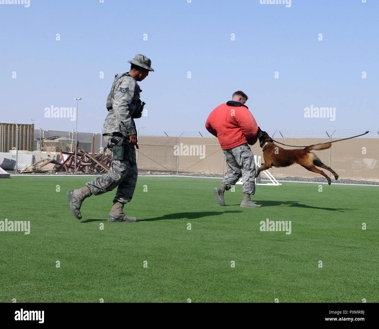 Sotto la guida di personale Sgt. Gabriel, 380 Expeditionary forze di sicurezza militari squadrone cane da lavoro gestore, MWD Vviper morsi Senior Airman Troy, 380 FSE gestore MWD, 15 giugno 2017, in una località segreta in Asia sud-ovest. Bite tute sono usati per proteggere i gestori pur consentendo MWDs al treno realisticamente. Foto Stock