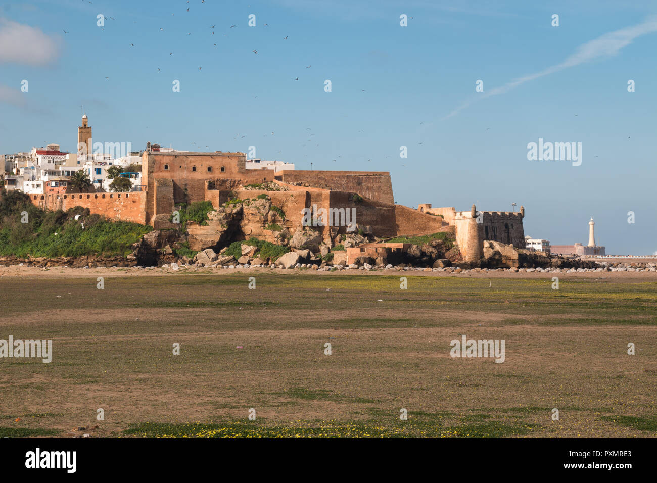 Prato accanto all'oceano. Vista sulla fortezza, case e torre della moschea. Il cielo blu con nuvole. Rabat, Marocco. Foto Stock