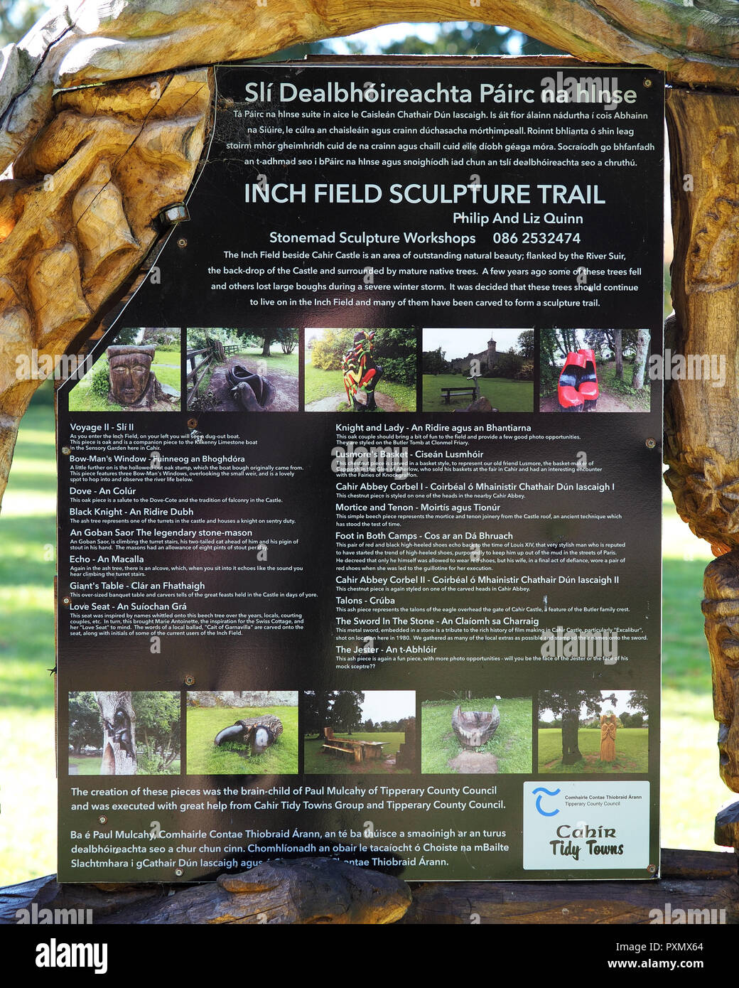 Segno a pollice campo accanto al Castello di Cahir che mostra le diverse sculture in legno nel campo. Cahir, nella contea di Tipperary, Irlanda Foto Stock