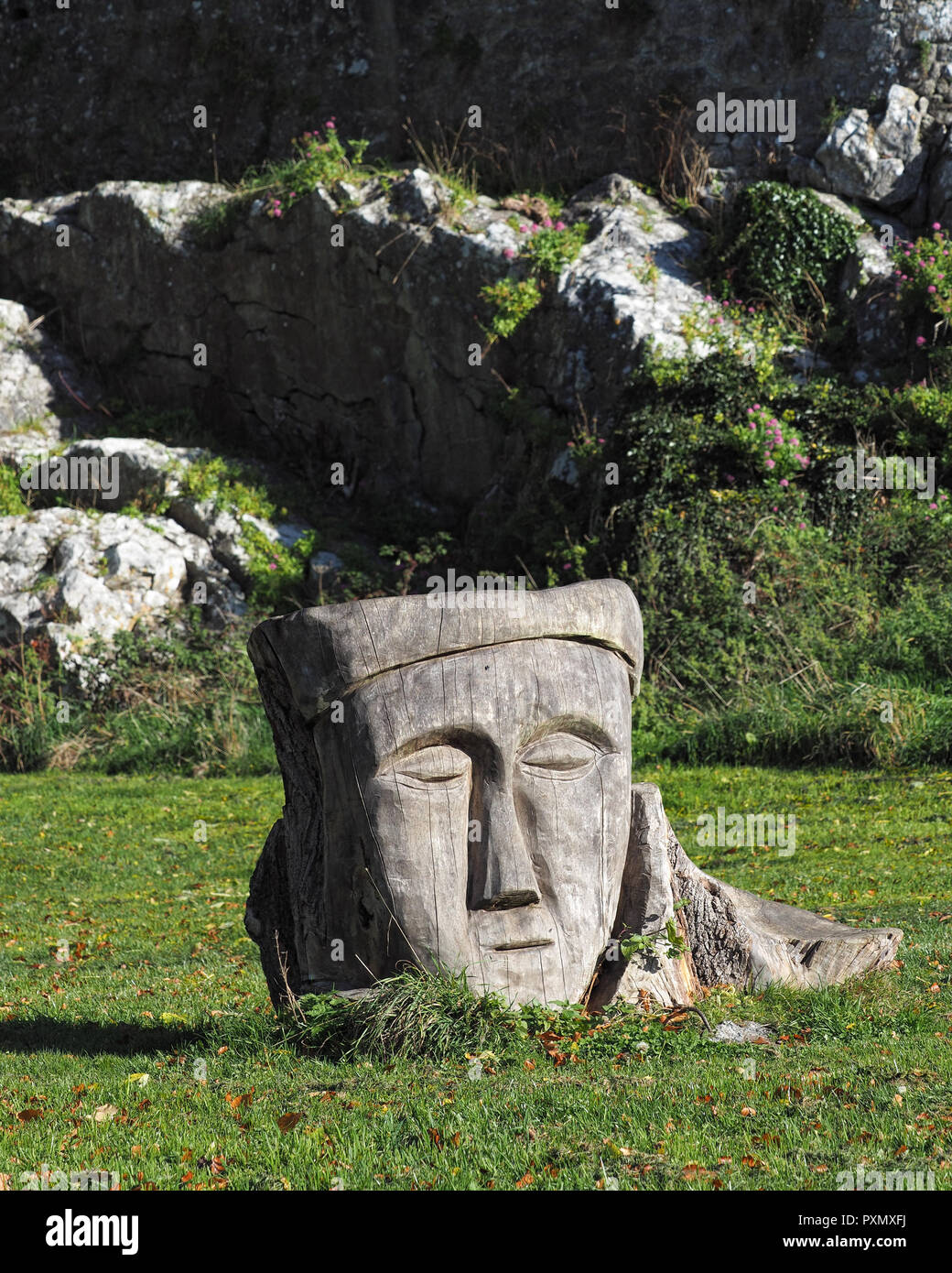 Scultura in legno in campo pollici dietro il Castello di Cahir, nella contea di Tipperary, Irlanda Foto Stock