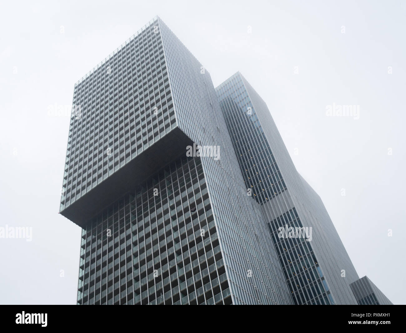 De Rotterdam OMA office tower building a Rotterdam, Paesi Bassi Foto Stock