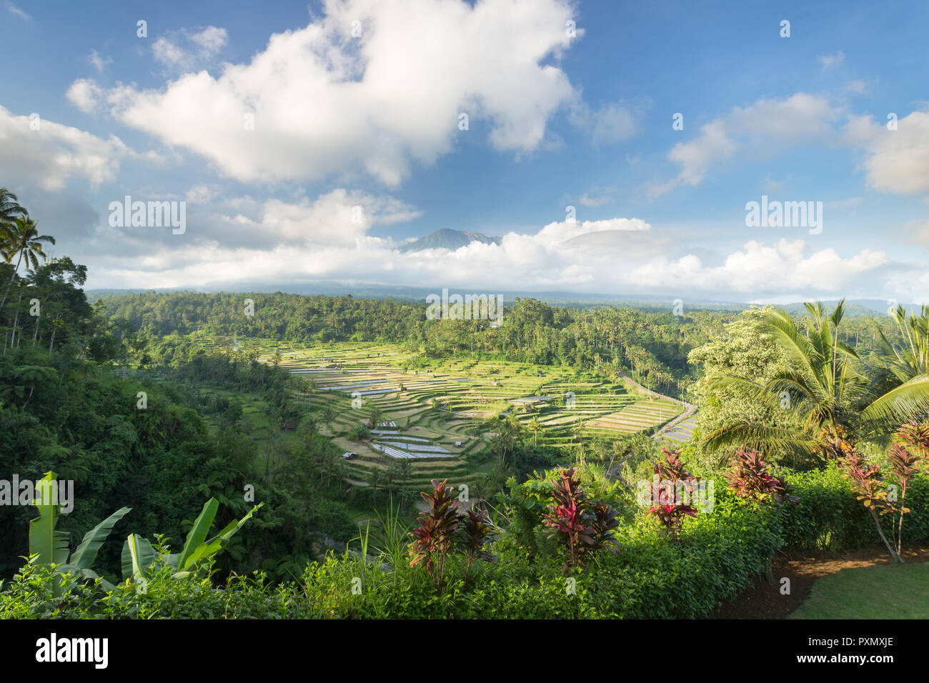 Vista dei terrazzi di riso e Gunung Agung vulcano, Rendang, Bali, Indonesia Foto Stock