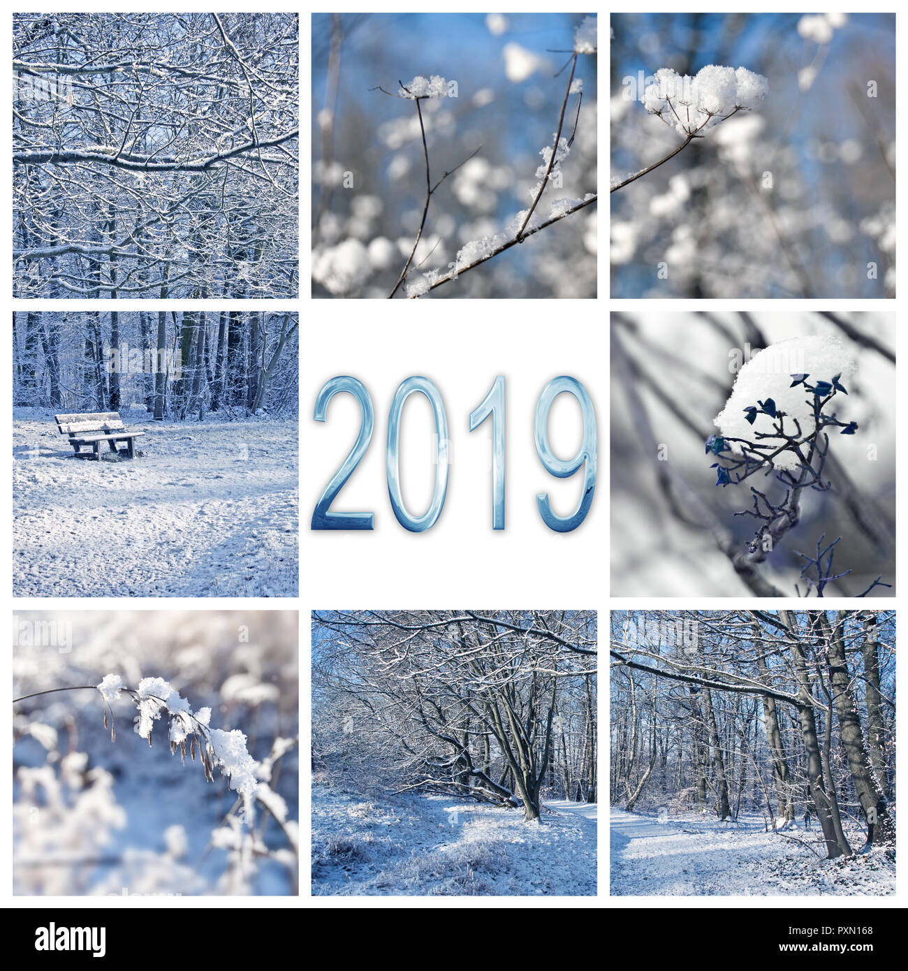 2019, la neve e il paesaggio invernale square biglietto di auguri Foto Stock