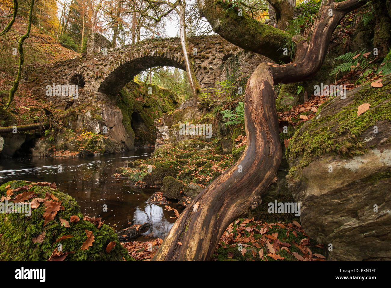 Il fiume Braan che scorre sotto il ponte in pietra a lui eremo vicino a Dunkeld, Perthshire Scozia. Foto Stock