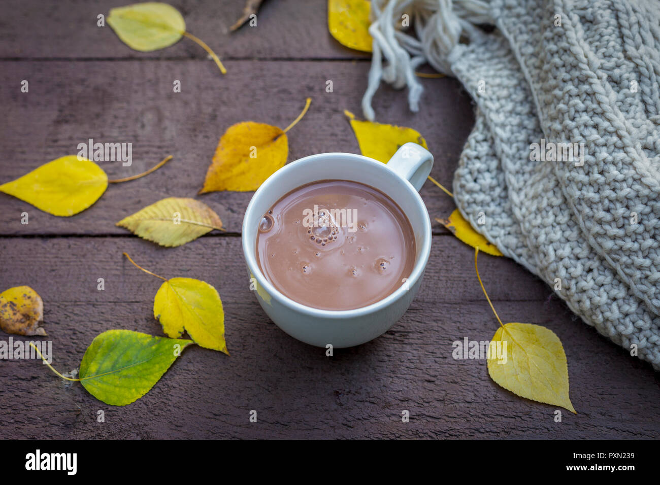 Composizione esterna. Bevanda al cioccolato in autunno park con foglie di giallo e sciarpa vicino Foto Stock