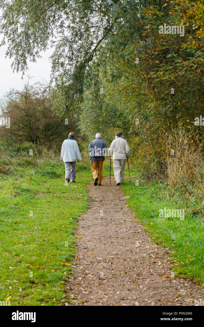 Tre i cittadini anziani passeggiate attraverso boschi e godendo la mattina di sole autunnale. Leicestershire, Regno Unito Foto Stock